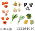 食べ物, 野菜, ひとそろい, フルーツ, ベジタリアン, カボチャ, 健康な, 緑, アイコン,  133364040