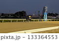 浦和競馬場を走る競走馬 133364553