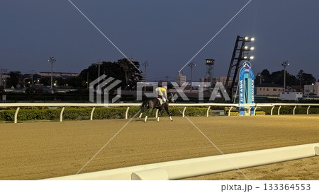 浦和競馬場を走る競走馬 133364553