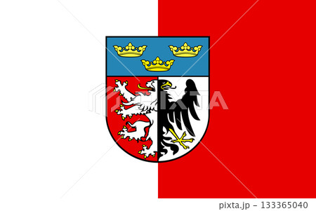 Flag of Pabyanytsky District 133365040