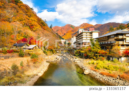 栃木県日光市　秋の紅葉に染まる川治温泉と男鹿川 133365157