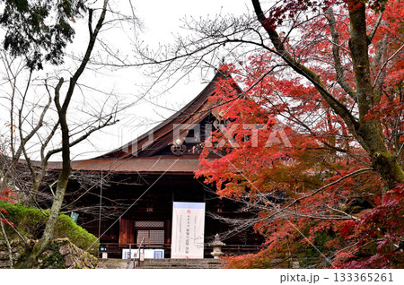 三井寺　金堂 133365261