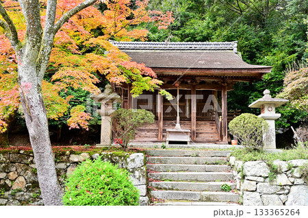 三井寺 熊野権現社 三井寺 熊野権現社 133365264