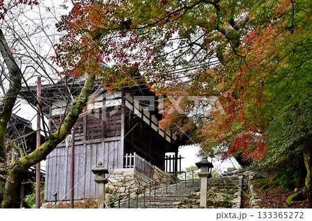 三井寺　境内 133365272