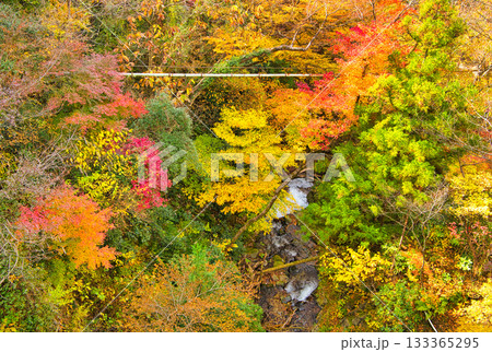 栃木県日光市 秋の紅葉に染まる鬼怒川温泉と小川 栃木県日光市 秋の紅葉に染まる鬼怒川温泉と小川 133365295