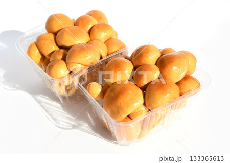 きのこ（大粒なめこ） 133365613