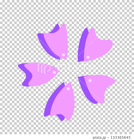 Cherry Blossoms	 133365645