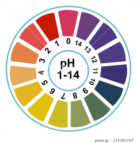 pH Scale Color Chart from 1 to 14, Acid-Base Indicator Litmus Paper Test Diagram, Chemistry and Scientific Concept 133365787