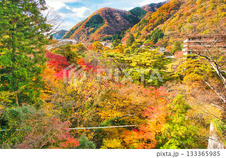 栃木県日光市 秋の紅葉に染まる鬼怒川温泉の風景 栃木県日光市 秋の紅葉に染まる鬼怒川温泉の風景 133365985