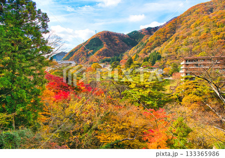 栃木県日光市　秋の紅葉に染まる鬼怒川温泉の風景 133365986