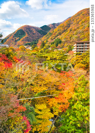 栃木県日光市 秋の紅葉に染まる鬼怒川温泉の風景 栃木県日光市 秋の紅葉に染まる鬼怒川温泉の風景 133365988