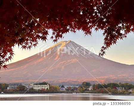 河口湖から見る朝色に染まる富士山 河口湖から見る朝色に染まる富士山 133366050