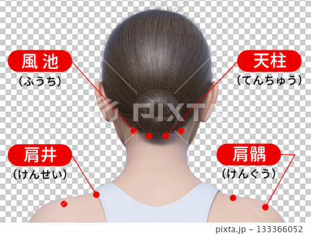 緩解肩頸僵硬的穴位按摩、頭部穴位按摩、反射區示意圖、上身背部視圖 133366052
