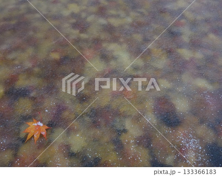 氷に包まれた紅葉 133366183