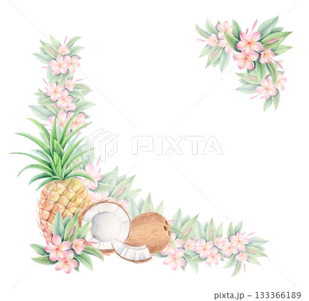 Tropical corner frame illustration with plumeria, coconut and pineapple isolated on white 133366189