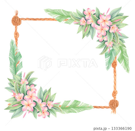 Tropical plumeria rope frame illustration. Frangipani floral border isolated on white 133366190