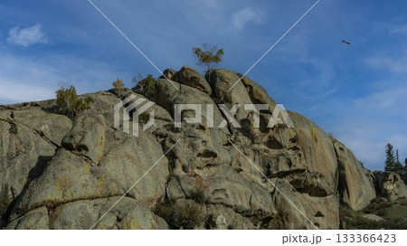 荒野 荒地 砂漠 133366423