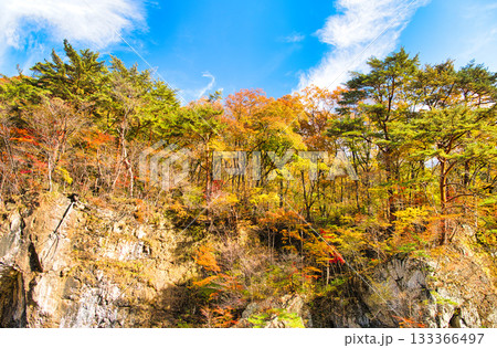 栃木県日光市　秋の紅葉に染まる龍王峡の景色 133366497