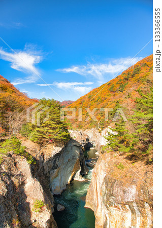 栃木県日光市　秋の紅葉に染まる龍王峡と鬼怒川 133366555