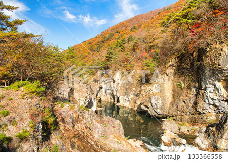 栃木県日光市　秋の紅葉に染まる龍王峡と鬼怒川 133366558