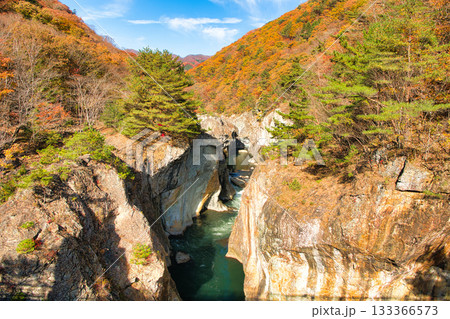栃木県日光市　秋の紅葉に染まる龍王峡と鬼怒川 133366573