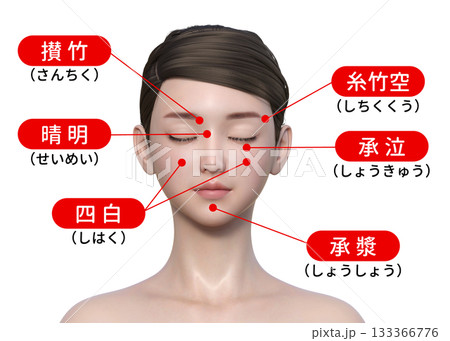 顔のツボ 目の周りのツボ 反射区の図解 解説イラスト 上半身正面 顔のツボ 目の周りのツボ 反射区の図解 解説イラスト 上半身正面 133366776