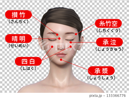 顔のツボ 目の周りのツボ 反射区の図解 解説イラスト 上半身正面 顔のツボ 目の周りのツボ 反射区の図解 解説イラスト 上半身正面 133366776