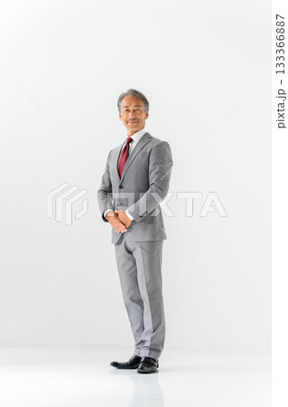 ビジネスマン　ポートレート　全身 133366887