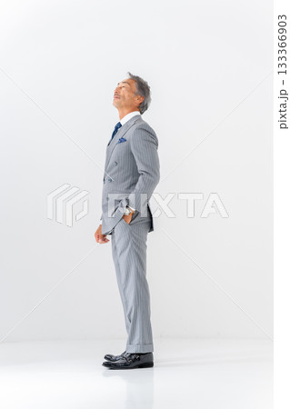 ビジネスマン　ポートレート　全身　考える 133366903