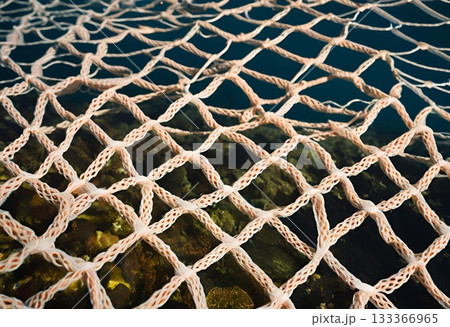 Sun bursts behind fishing net pulled from clear water. AI Generated 133366965