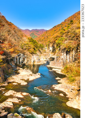 栃木県日光市　秋の紅葉に染まる龍王峡と鬼怒川 133367023