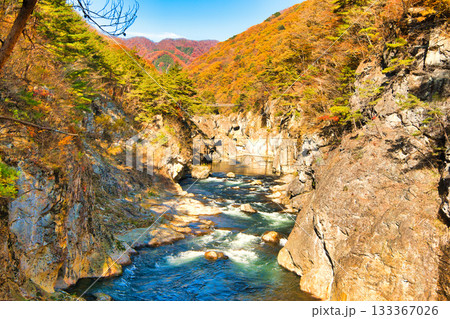栃木県日光市　秋の紅葉に染まる龍王峡と鬼怒川 133367026