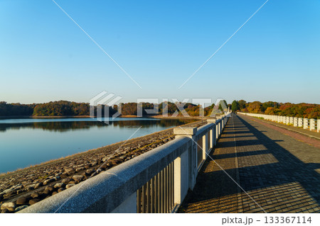 狭山湖の堤防 133367114