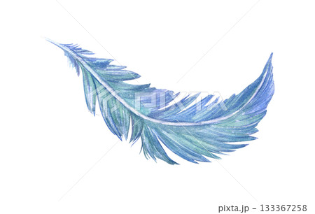 Watercolor blue green bird feather illustration on isolated background. Hand painted colored fluffy bird plume. Natural element for carnival mask decor, dreamcatcher, ethnic design, Easter card. 133367258