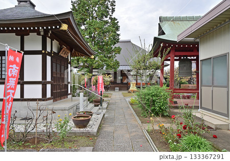 越谷散歩・真言宗智山派 清蔵院 越谷市蒲生本町 越谷散歩・真言宗智山派 清蔵院 越谷市蒲生本町 133367291