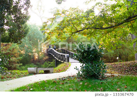 Wander through a lush green forest where sunlight filters through leaves, illuminating a peaceful path leading to a stunning wooden bridge. It's a perfect escape into nature's embrace. 133367470