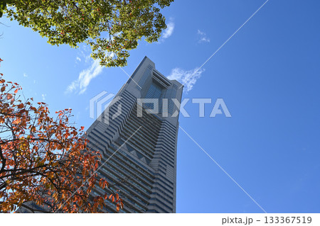 横浜みなとみらい21と秋の風景 横浜みなとみらい21と秋の風景 133367519