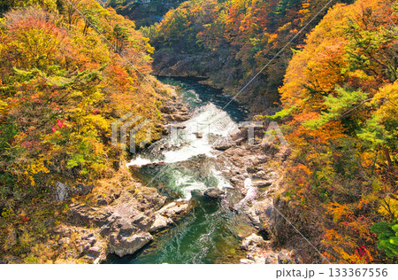 栃木県日光市　秋の紅葉に染まる鬼怒川温泉を流れる鬼怒川 133367556