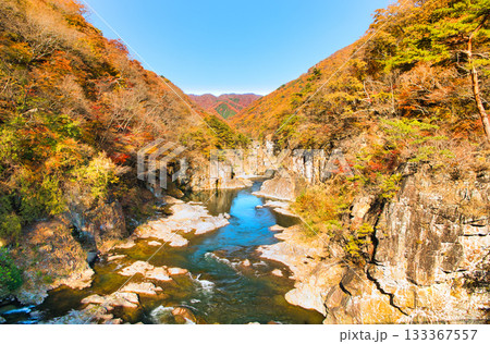 栃木県日光市 秋の紅葉に染まる龍王峡と鬼怒川 栃木県日光市 秋の紅葉に染まる龍王峡と鬼怒川 133367557