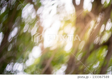 Blur bokeh background blurred imageBlur bokeh background blurred image 133367589
