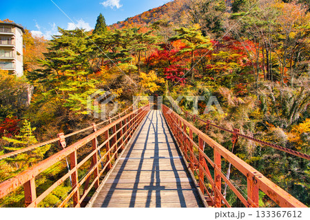 栃木県日光市 秋の紅葉に染まる鬼怒川温泉と滝見橋 栃木県日光市 秋の紅葉に染まる鬼怒川温泉と滝見橋 133367612