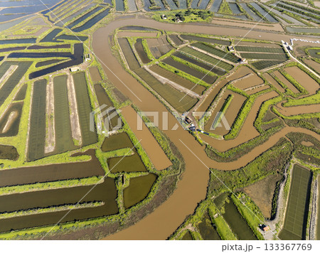 Flooded farming fields in Portugal, Aerial Landscare of Irrigated Agriculture in Europe. Abstract Pattern at Sunny Day Flooded farming fields in Portugal, Aerial Landscare of Irrigated Agriculture in Europe. Abstract Pattern at Sunny Day 133367769