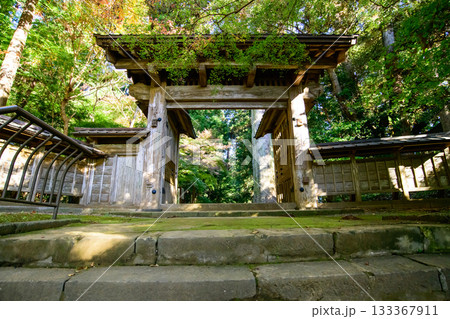 重要文化財 飯高寺総門 朝の木漏れ日 千葉県 重要文化財 飯高寺総門 朝の木漏れ日 千葉県 133367911
