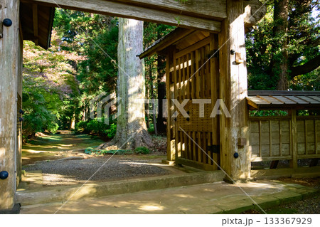 重要文化財　飯高寺総門　朝の木漏れ日　千葉県 133367929
