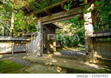 重要文化財 飯高寺総門 朝の木漏れ日 千葉県 重要文化財 飯高寺総門 朝の木漏れ日 千葉県 133367931
