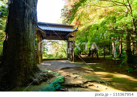 朝日差し込む飯高寺総門　重要文化財　千葉県 133367954