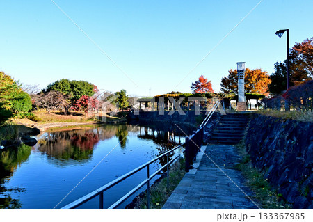 埼玉県　騎西総合公園の紅葉 133367985