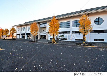 埼玉県 騎西総合公園の紅葉 埼玉県 騎西総合公園の紅葉 133367988