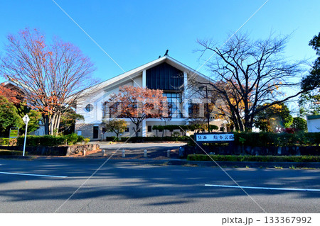 埼玉県　騎西総合公園の紅葉 133367992