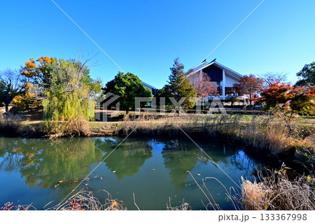 埼玉県 騎西総合公園の紅葉 埼玉県 騎西総合公園の紅葉 133367998